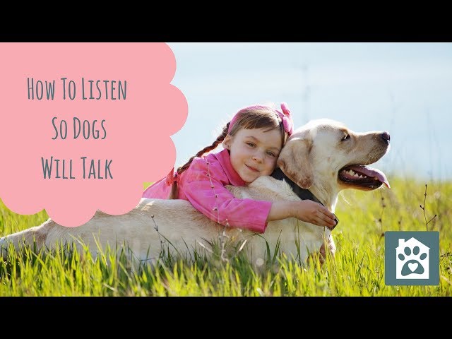 How To Listen So Dogs Will Talk