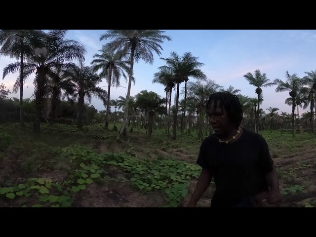 Early Morning Farm Work, Guinea-Bissau 🇬🇼 Ep.175