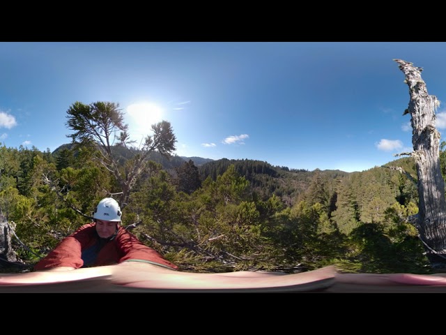 360 Canopy Tour - Episode 1: The Ascent