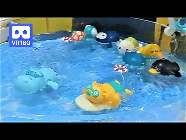 3D 180VR 4K Cute Wind up Bath Toy Cute Hippo, Penguin, Turtle, Whale Bath Toy