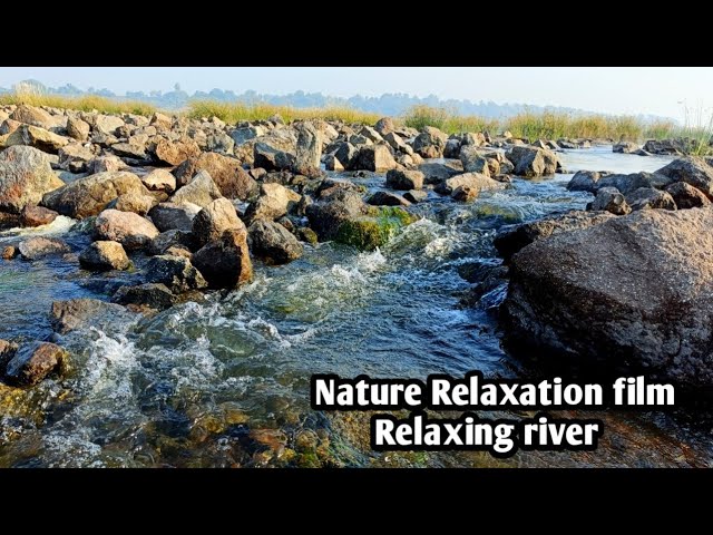 Nature Relaxation Film | Relaxing river