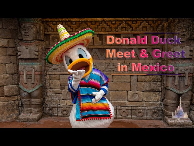 4K Disney Fiesta with Donald Duck Meet & Greet in Epcot VR180 3D