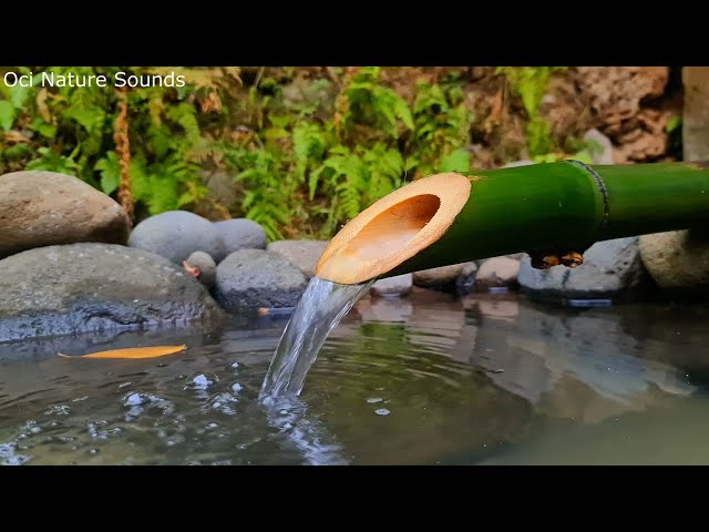 Stress Relief, Refresh And Healing, Peaceful Bamboo Water Sounds For Relax