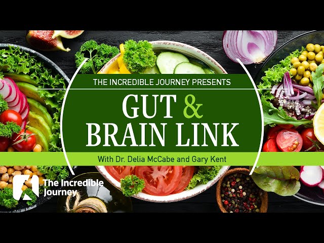 Brain-Gut Connection: How Food Shapes Your Mind