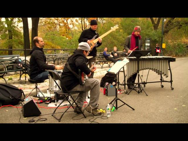 Skating In Central Park • Chris Dingman Quartet • Jazz & Colors / Central Park • 11/10/12