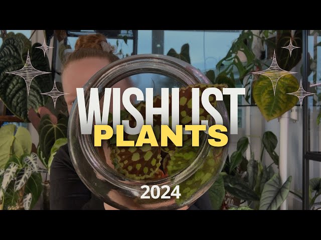 2024 Wishlist Houseplants - 36 of Them 😬🌿