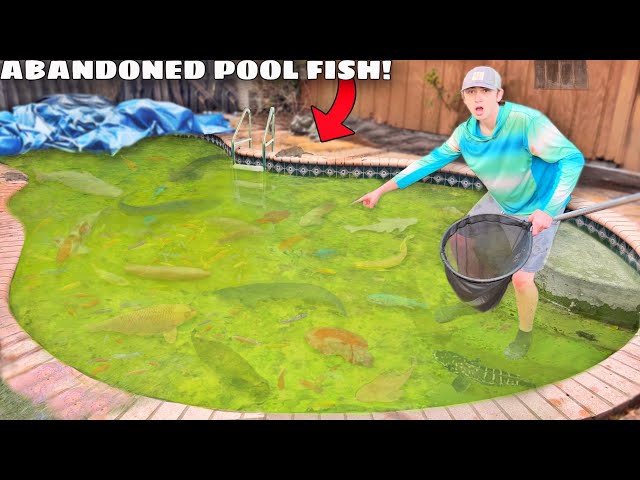 I Found a Abandoned Pool FILLED with AQUARIUM FISH!