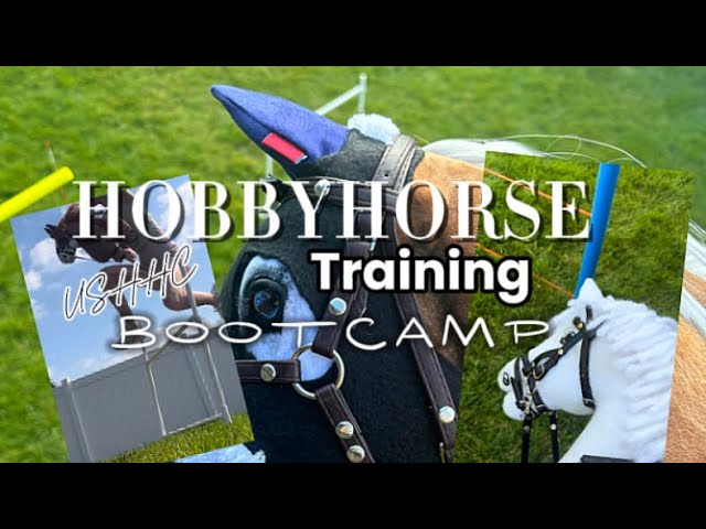 USHHC TRAINING BOOTCAMP W/ THE HOBBYHORSES!!!!!!! || Ocean HH