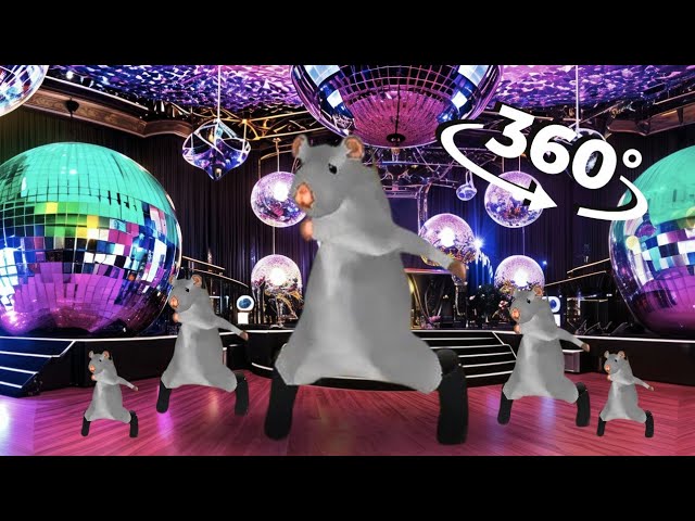 Chess Type Beat Rat Lost in 360° VR