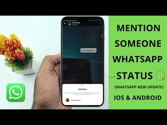 How to Mention Someone to WhatsApp Status (iPhone & Android)