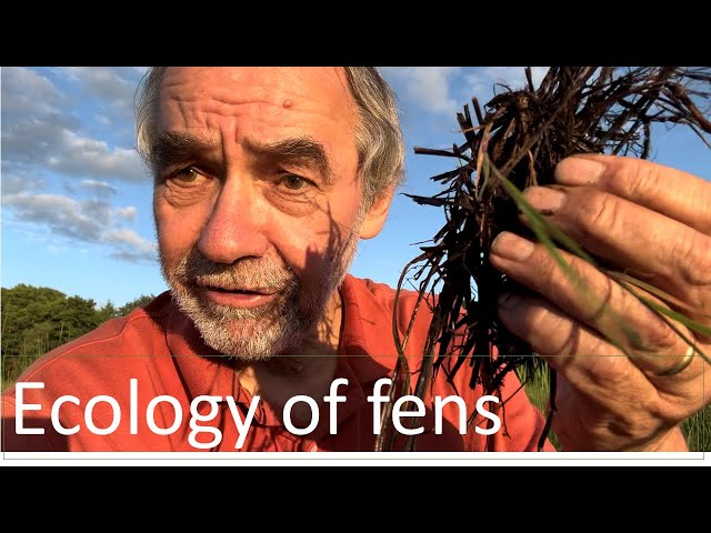 Fens: origin, ecology and management