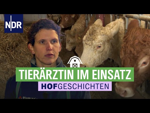 Hoffnung auf Nachwuchs: Tierärztin kontrolliert die Kühe | Hofgeschichten: Leben auf dem Land (309)