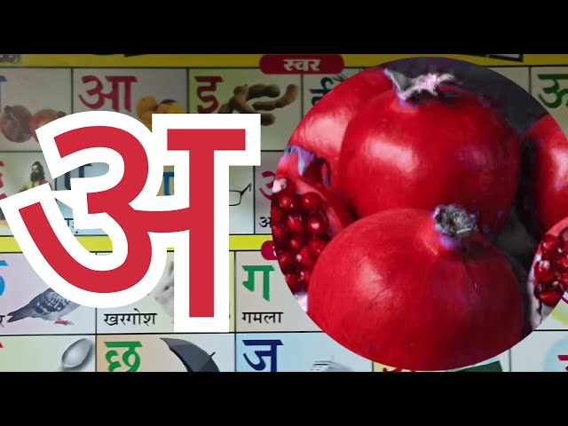 अ से अनार । वर्णमाला अ से अ: तक । a se anar in hindi |