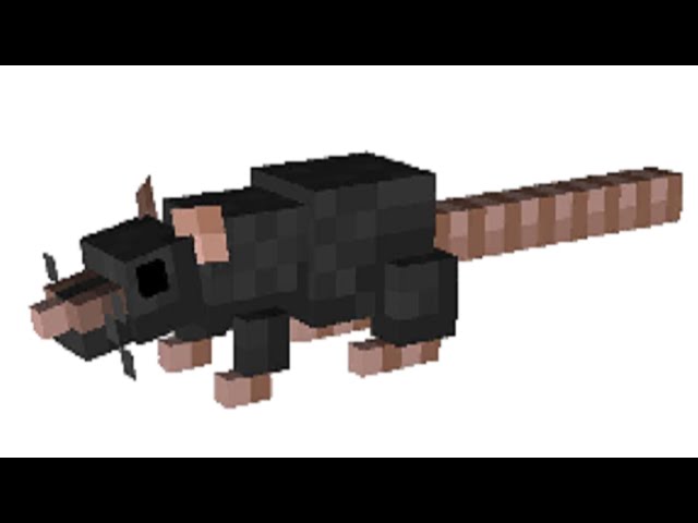 RAT STREAM RAT STREAM [1st modded smp stream!]