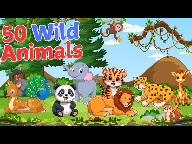 50 Wild Animals | Learn Wild Animals Names and Noises | Kids & Toddlers | Kids Corner