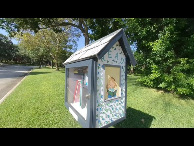 LittleBookBoxesOnStreetCorners