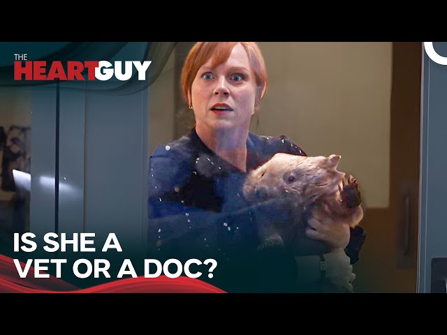 There's a WOMBAT In a Hospital?!? | The Heart Guy