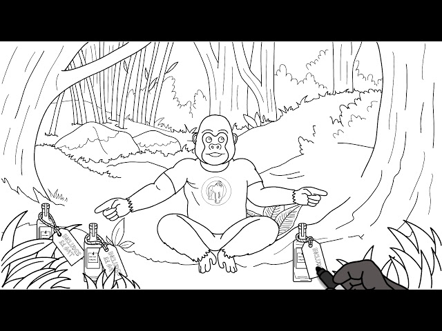 Gorilla Spirits - Whiteboard Animation