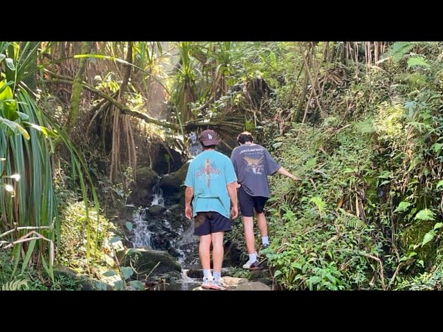 THE MOST BEAUTIFUL HIKE ON KAUAI