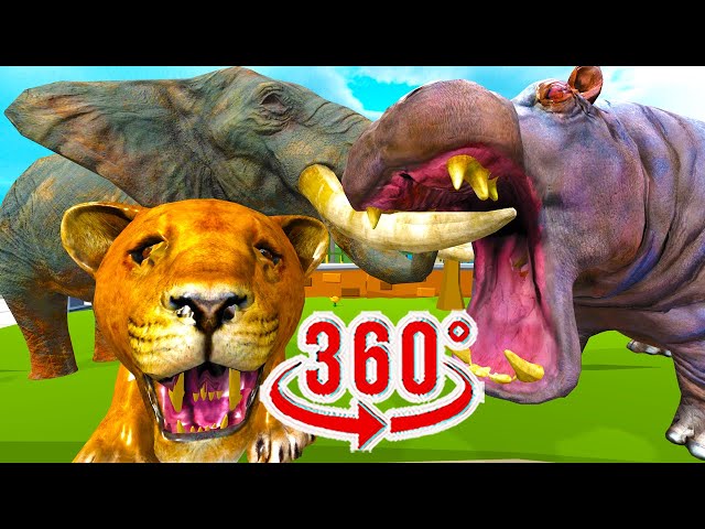 Choose The Right Elephant Funny Meme VR 360 video