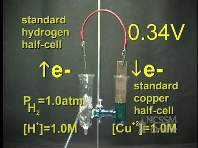 Cu Half Cell