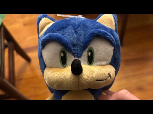 Sanie sonic 2025 review