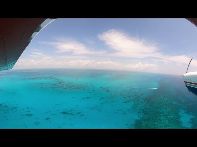 Flying from Fowey Rocks Lighthouse to Miami Beach in the Cessna | 360 Video HD