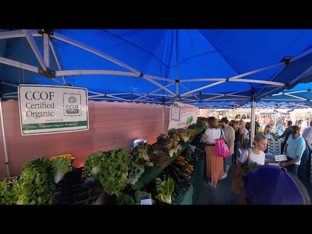 BEST FARMERS MARKET IN LOS ANGELES MAR VISTA THE AMAZING 360 TOURS! #360 #FARMERSMARKET #PLACESINLA