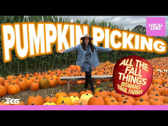 The ultimate fall day at Swans Trail Farms!🎃🍎 | Local Lens Seattle