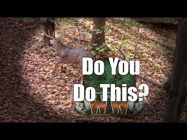 Deer Bow Hunting Tips  | How to Prepare for the Shot