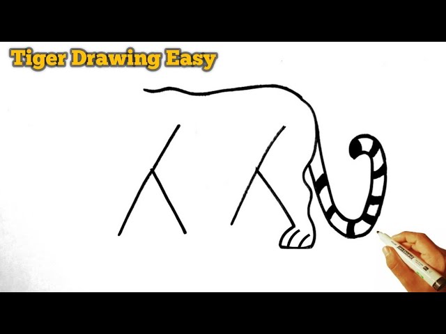 Tiger 🐅 Drawing Most Simple Ever from letter YY