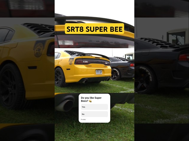 srt8 super bee charger