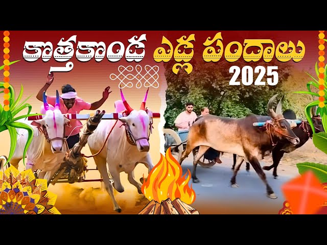 #Kotthakonda ఎడ్ల పందేలు 2025 | Thrilling Bull Cart Race in My Village!#sawarbandlu #bullrace