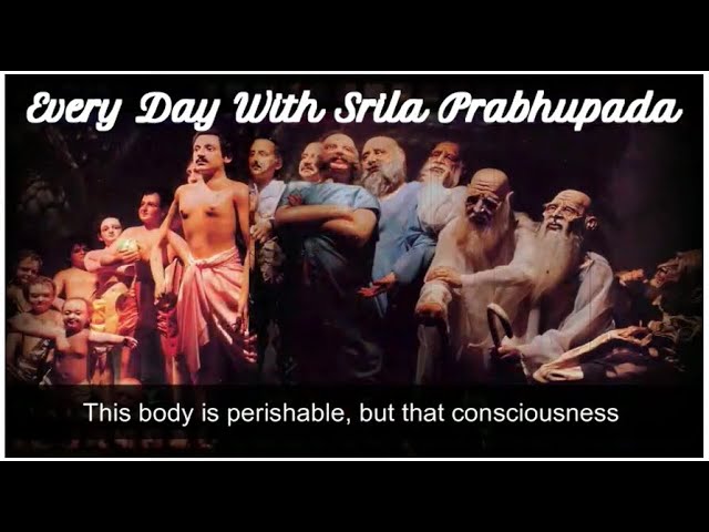 This body is perishable, but that consciousness is imperishable, eternal ~ Srila Prabhupada