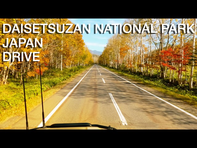 Driving through Japan's Largest National Park!