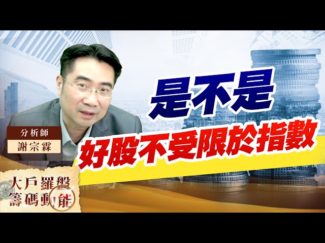 是不是 好股不受限於指數｜大戶羅盤籌碼動能 ｜謝宗霖