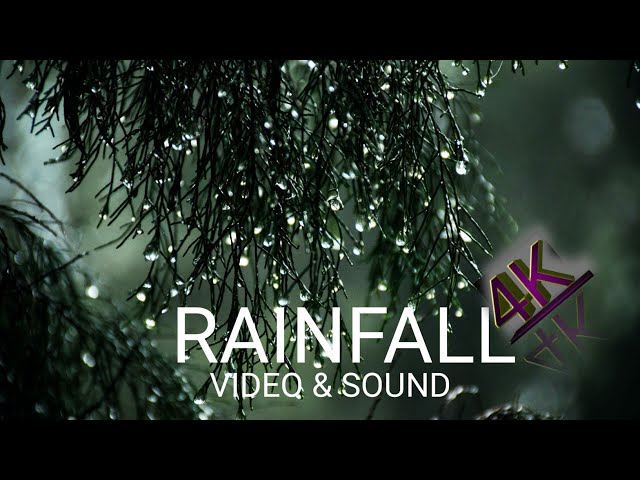 Beautiful Rain Raining Scenery & Nature 4k HD Ultra Videos   (Copyright Claim Free Video)