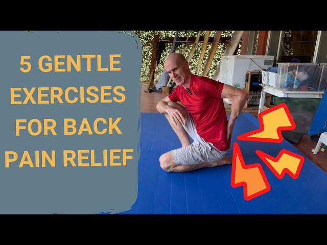 Pelvic and Somatic Exercises for Back Pain Relief | Ed Paget