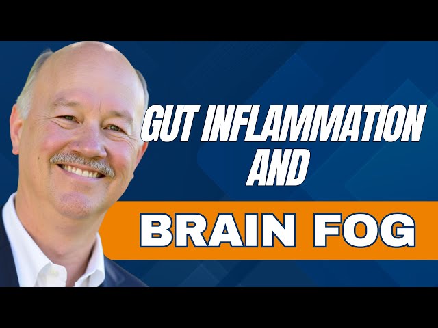 Your Gut & Memory Loss / How Your Gut Health Affects Your Brain: The Hidden Connection