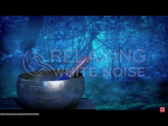 Relaxing White Noise: Rain in Woods + Tibetan Bowls - Relax, Study or Sleep With White Noise Music