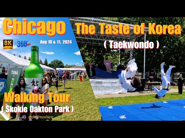 Taekwondo @ The Taste Of Korea ( 한국의 맛  hangug-ui mas ) - 360 8K VR  Walking Tour in Chicago