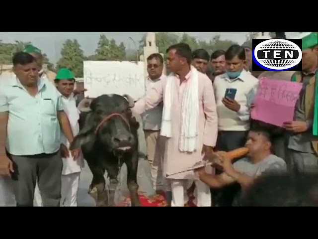 Unique protest in Noida: किसानों ने भैंस के आगे बिन बजाई | Uttar Pradesh