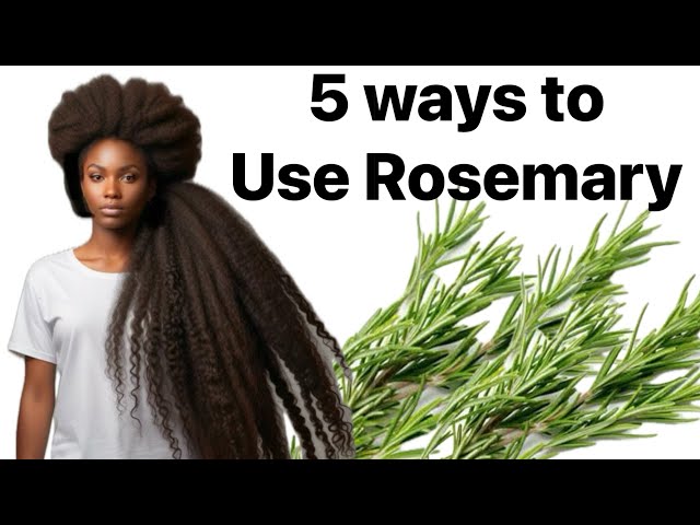 5 WAYS to USE Rosemary for hair growth. Regrow hair fast with ROSEMARY