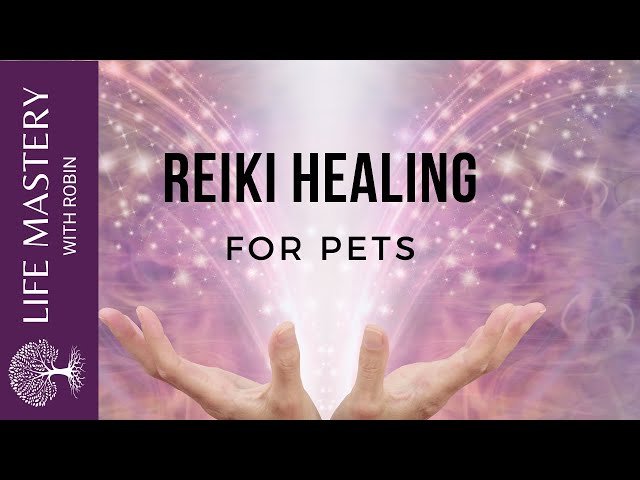 Reiki Healing   Healing Dogs and Cats with Sound Music