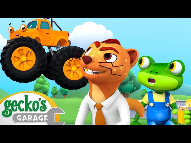 Flying MONSTER TRUCK | Gecko's Animal Pals | Animal & Vehicle Cartoons | Cartoons for Kids