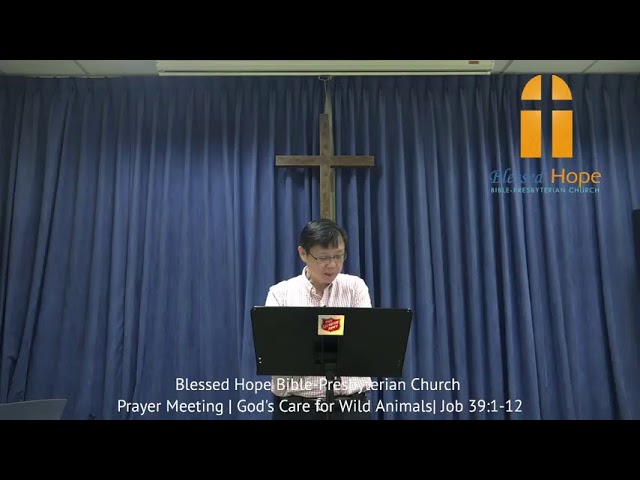 Blessed Hope Bible-Presbyterian Church Live Stream