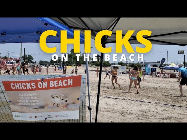 Discovering The Beauty Of Canadian Beach Beauties - Wasaga Beach Ontario Canada