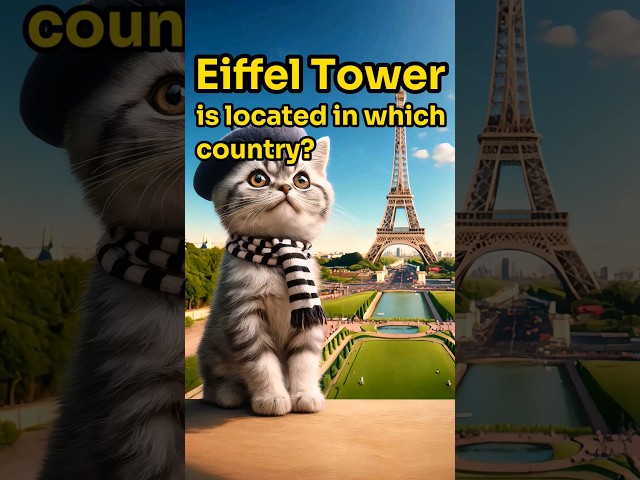 【CAT STORY】GUESS The Eiffel Tower is located in which country? #Quiz #shorts #subscribe #funny #cat