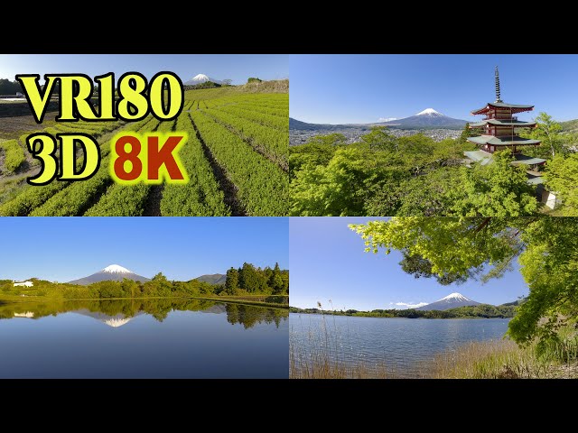 [ 8K 3D VR180 ] 新緑と富士山 Mt.Fuji in the season of fresh green