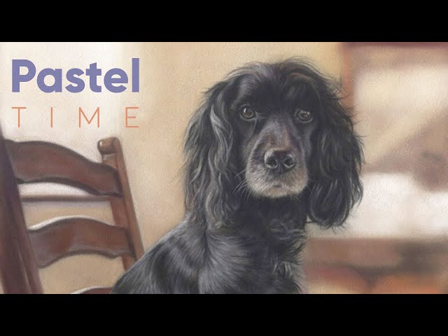 Spaniel in Soft Pastel - Timelapse